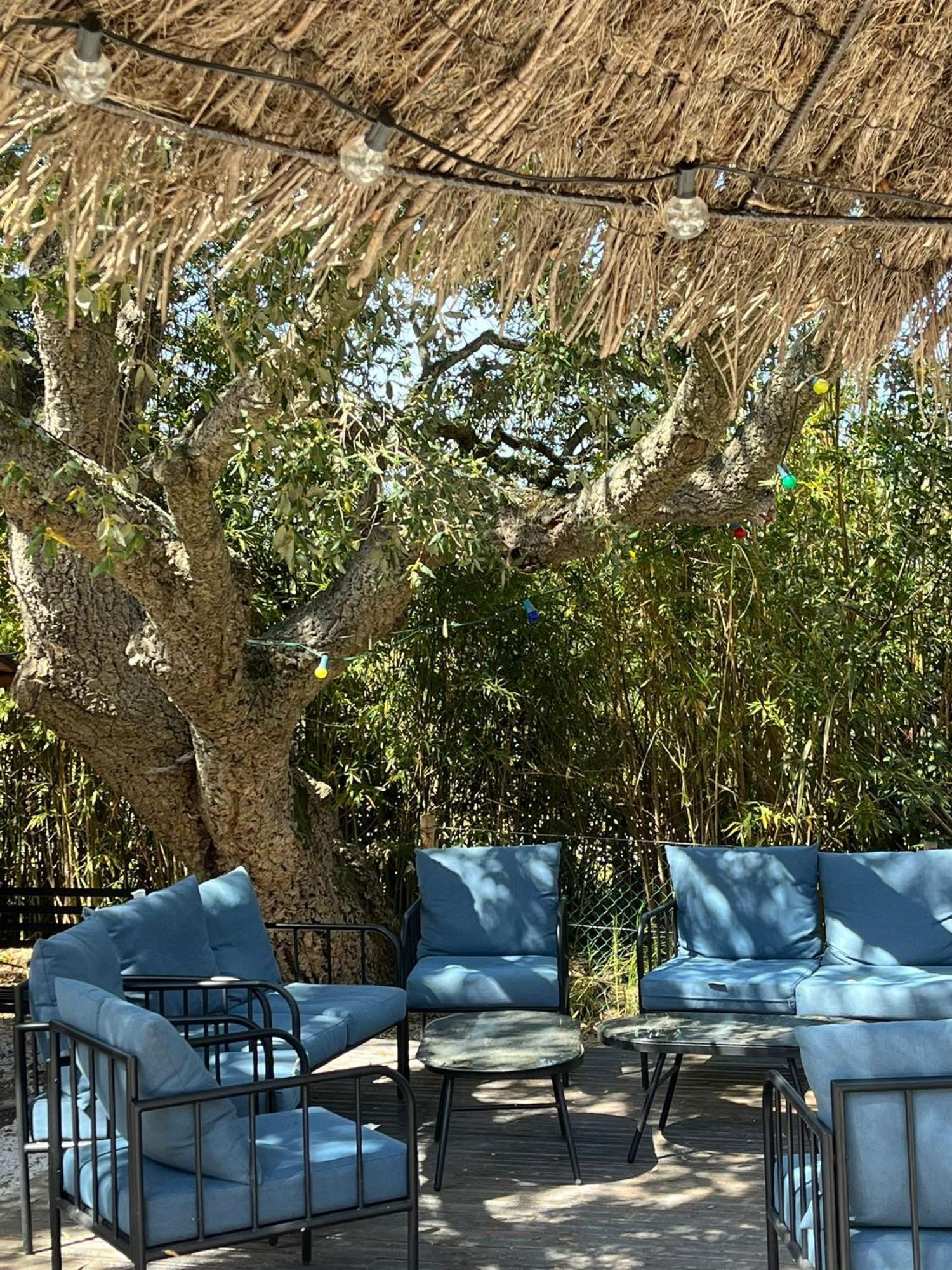 Lou Riou Village Vacances سان تروبيه المظهر الخارجي الصورة